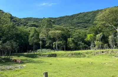 Fazenda à venda na Rua Manoel Antônio Cândido, 1, Enseada de Brito, Palhoça
