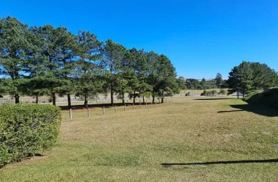 Terreno em condomínio fechado à venda na Rodovia BR-376, Campo Largo da Roseira, São José dos Pinhais