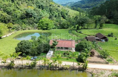 Chácara / sítio com 3 quartos à venda no Rio Morto, Rodeio 