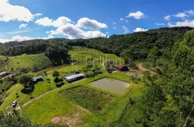 Sítio completo com lagoas, ribeirão e nascente em Rio dos Cedros