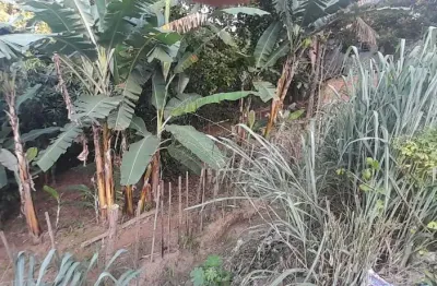 Terreno comercial à venda no Cariacica Sede, Cariacica 