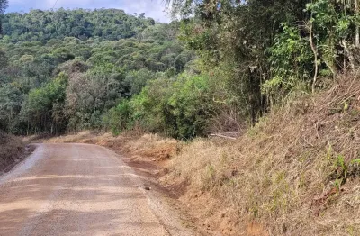 Chácara / sítio à venda na Rua Miguel Poppia, 2km Da Estrada Do Marmeleiro, 2000, Pacotuba, Almirante Tamandaré