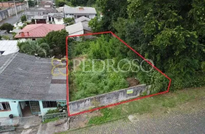 Terreno comercial à venda na Rua São Roque, s/n, Nossa Senhora do Rocio, União da Vitória