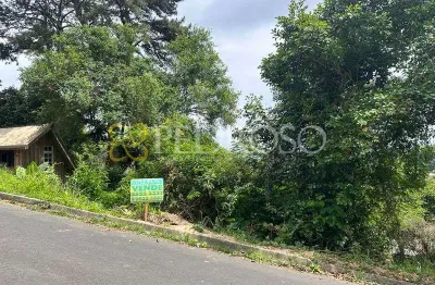 Terreno à venda na Rua João Maia, 61, Vice King, Porto União