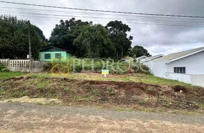 Terreno à venda na Rua Waldir João Zanetti, s/n, São Sebastião, União da Vitória