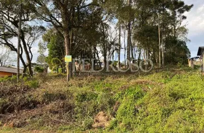 Terreno à venda na Rua Castor Gomes, S/N, São Gabriel, União da Vitória