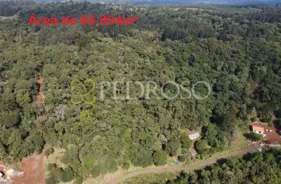 Fazenda à venda na Colonia Anta Gorda, Zona Rural, Porto Vitória