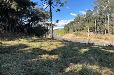 Oportunidade única! área de 6,5 hectares com potencial múltiplo em urubici - sc