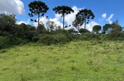 *terreno de 24 hectares* com excelente potencial de aproveitamento e *vista panorâmica de 360 graus, localizado a apenas **2,5 km da sc-110* (acesso asfaltado), na *vila pericó
