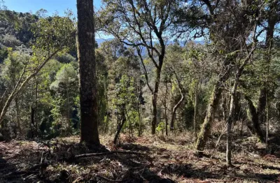 Linda chácara à venda em urubici, na serra catarinense! com excelente aproveitamento de área, esta propriedade oferece uma vista deslumbrante de altitude
