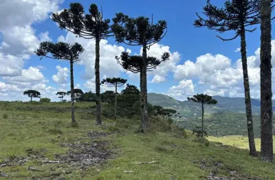 Terreno à venda na Rua Geral Do Jararaca, s/n°, Zona Rural, Urubici