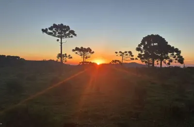 Terreno à venda na Rua Geral Perico Da Cancha, s/n°, Pericó, São Joaquim