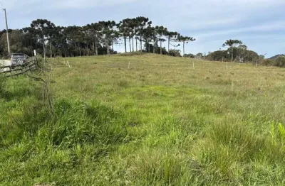 Terreno à venda na Estrada Geral Parque Das Araucaria, s/n°, Santa Tereza, Urubici