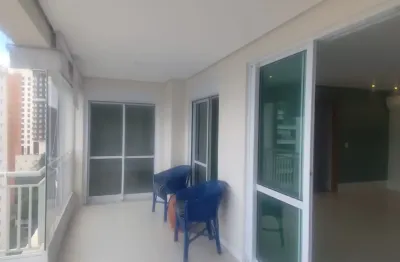 Apartamento para alugar  com 2 suítes 2 vagas  m e cobertas  vista livre  em andar alto no melhor da vila suzana