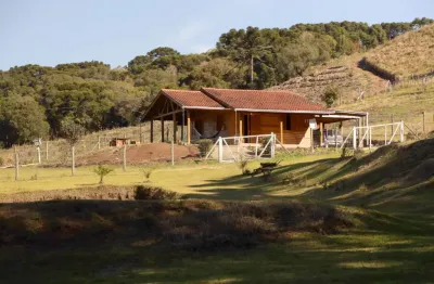 Chácara / sítio com 2 quartos à venda na Vila Oliva, 1469, Vila Oliva (Distrito), Caxias do Sul