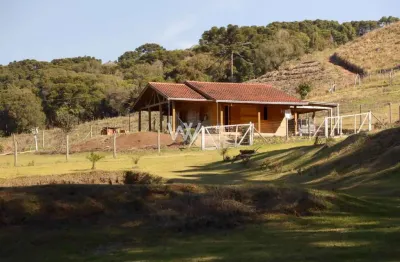 Chácara / sítio com 2 quartos à venda na Avenida Gaviolli, 04, Vila Oliva (Distrito), Caxias do Sul