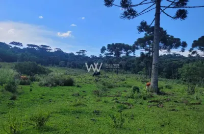 Chácara / sítio com 1 quarto à venda na Avenida Dante Marcucci, 12, Fazenda Souza, Caxias do Sul