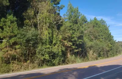 Terreno comercial à venda no Trigolândia, Piên 