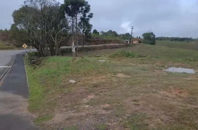 Terreno comercial à venda no Trigolândia, Piên 