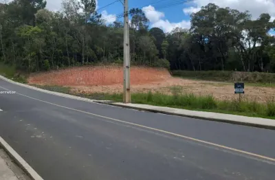 Terreno à venda na Avencal, Piên 