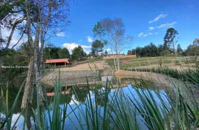 Chácara / sítio à venda no Trigolândia, Piên 