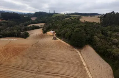 Chácara / sítio à venda em Taboão, Agudos do Sul 