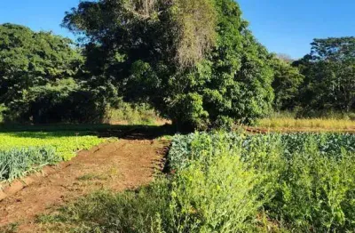 Terreno à venda na Vila Da Serra, Mário Campos 
