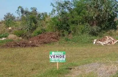 Terreno à venda na R Gralha Azul, 500, Jardim Primavera, Floresta