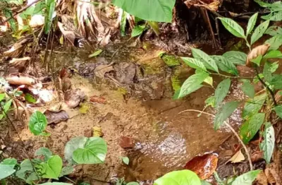 Chácara / sítio à venda no Testo Alto, Pomerode 