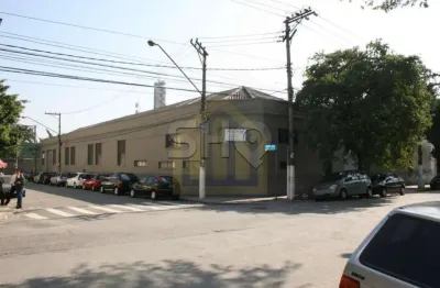 Barracão / galpão / depósito à venda na avenida santa marina, 1549, água branca, são paulo, 1229 m2 por r$ 10.520.000