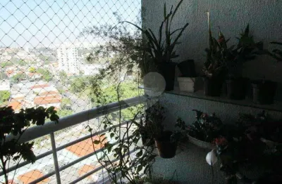 Cobertura com 3 quartos à venda em vila mangalot - sp