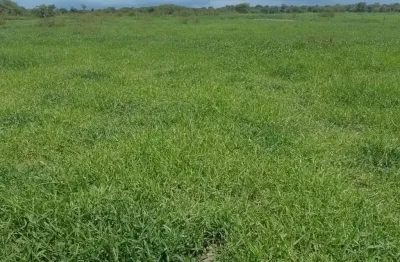 Fazenda dupla aptidão, próximo à ferrovia norte/sul, próximo a silos
