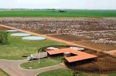 Fazenda dupla aptidão, próximo à ferrovia norte/sul, próximo a silos