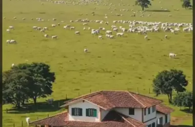Fazenda para + de 10mil cabeças de gado, projeto de pista de pouso aprovado
