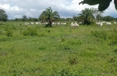 Fazenda à venda na Avenida Sebastião J. Santos, Zona Rural, Aruanã