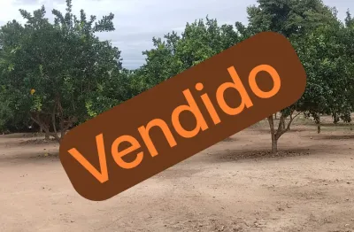 Fazenda na beira do rio vermelho, pomar, sede, curral, galpão