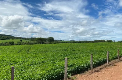 Fazenda 100% cultura, 36 alqueires (com 27 alqueires produzindo soja)