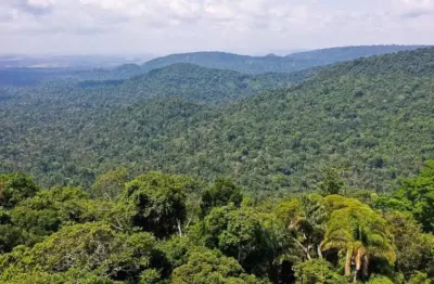 30 alqueires goiano de reserva de carbono em goiás, documentação ok,  chapada dos veadeiros