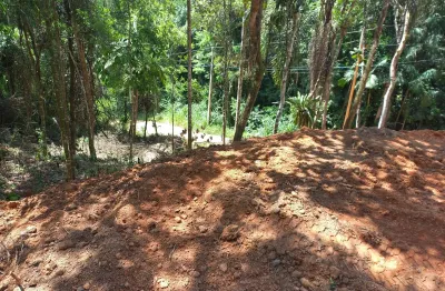 Área para sítio em aguas mornas sc - 5000 m2 - compra e venda desde 2011 e ótimo preço