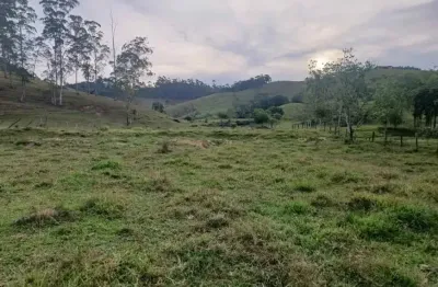 Excelente área para sítio de 15 mil m2 em fazenda de dentro, biguaçu sc - ótimo preço