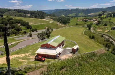 Esse sítio com 65.000 m² em alfredo wagner/sc é perfeito para famílias que sonham em viver com qualidade de vida, natureza e tranquilidade.