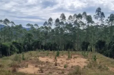 Excelente propriedade em são pedro de alcântara - invernada  4 hectares (em  de desmembramento)