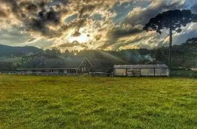 Chácara / sítio com 7 quartos à venda na Cep Município, 68, Centro, Rancho Queimado