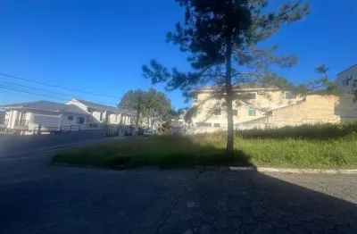 Terreno à venda na Rua Zigomar Georgina de Souza Silva, 1, Areias, São José