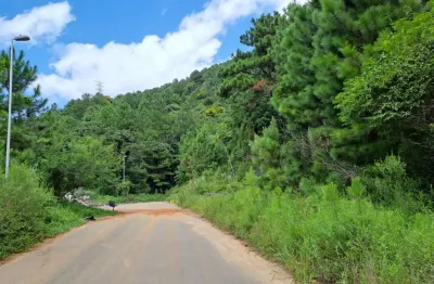 Terreno à venda na Rodovia Admar Gonzaga, 3277, Itacorubi, Florianópolis
