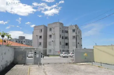 Apartamento com 2 quartos para alugar na Rua Eugênia Pereira Cardoso, 479, Aririu, Palhoça