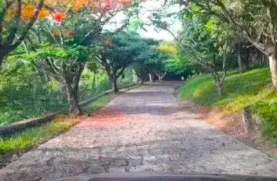Excelente área com 57 hectares às margens da br-232 – vitória de santo antão (próximo a bonança)