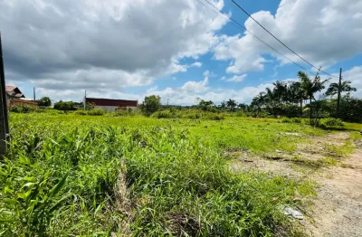 Terreno à venda no Colégio Agrícola, Araquari 