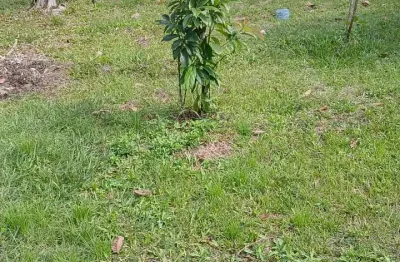 Lindo sitio em vale das pedrinhas - guapimirim - rio de janeiro, terra legalizada pelo incra