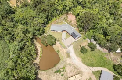 Chácara / sítio com 4 quartos à venda na frederico stival - tr, 3976, área rural de almirante tamandaré, almirante tamandaré, 334 m2 por r$ 3.300.000